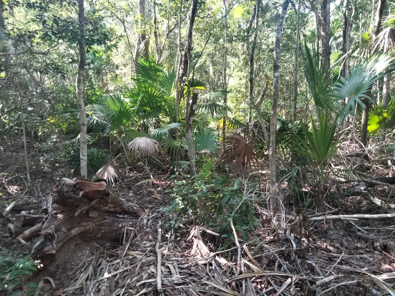 Foto 6