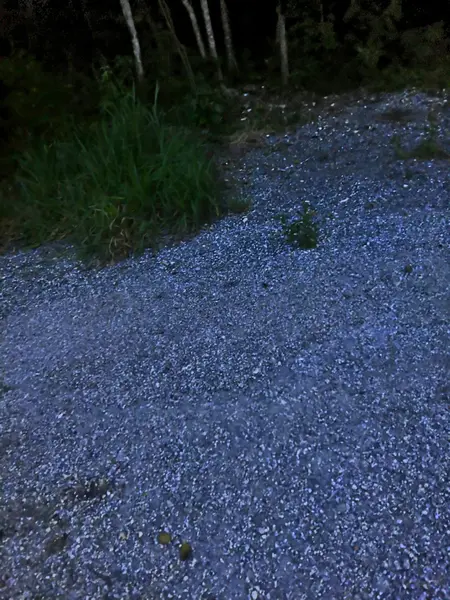 Foto 13