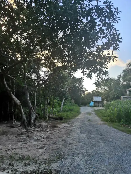 Lote en venta · Juárez, Cancún, Benito Juárez, Quintana Roo