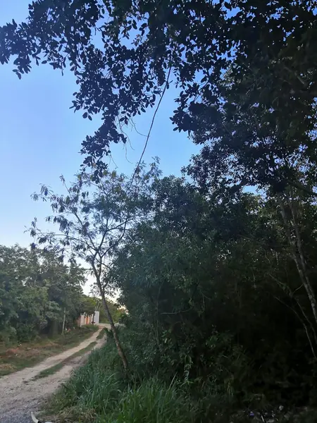 Foto 12