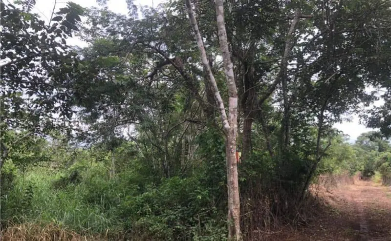 Foto 5