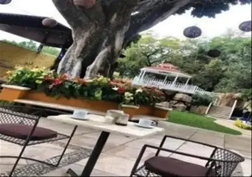Foto 12