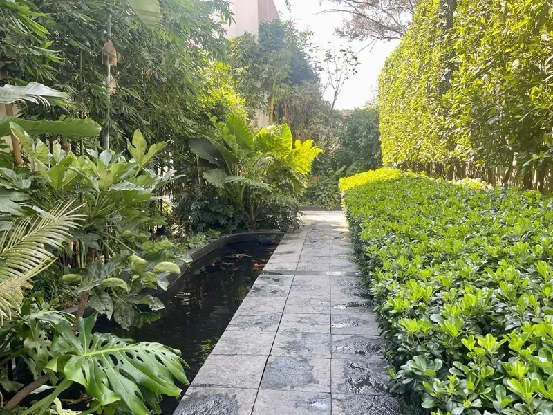 Foto 42