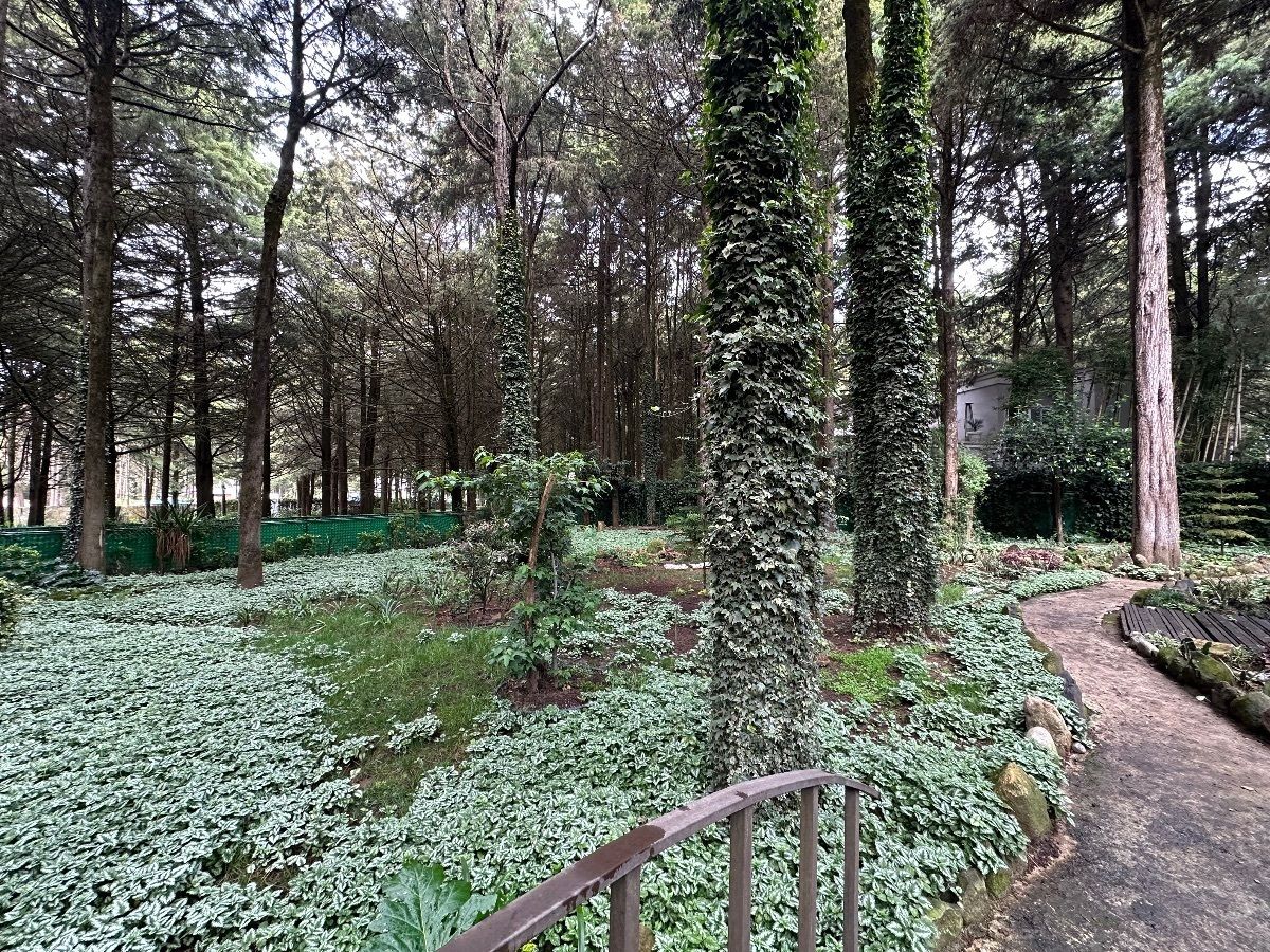 Foto 21