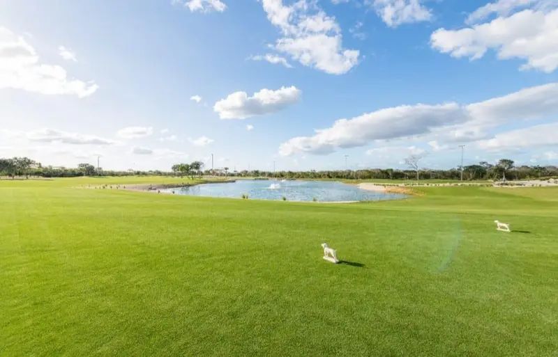 Lote en venta · Mérida, Yucatán