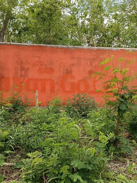 Foto 6
