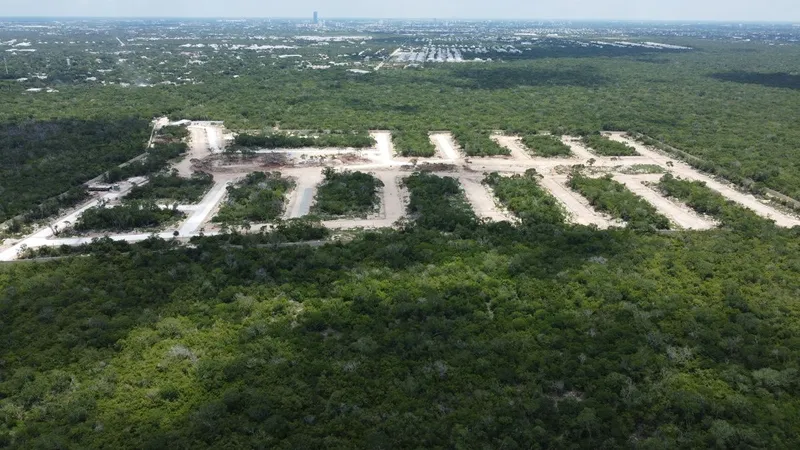 Foto 3