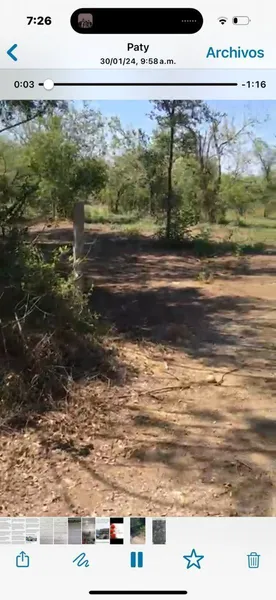 Lote en venta · Los Sabinos, Allende, Nuevo León