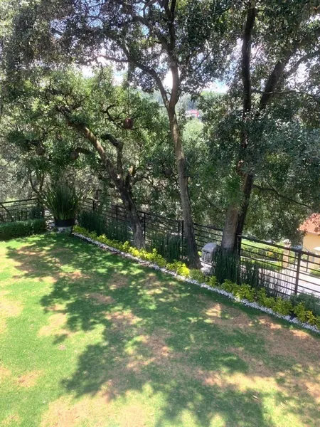 Foto 15