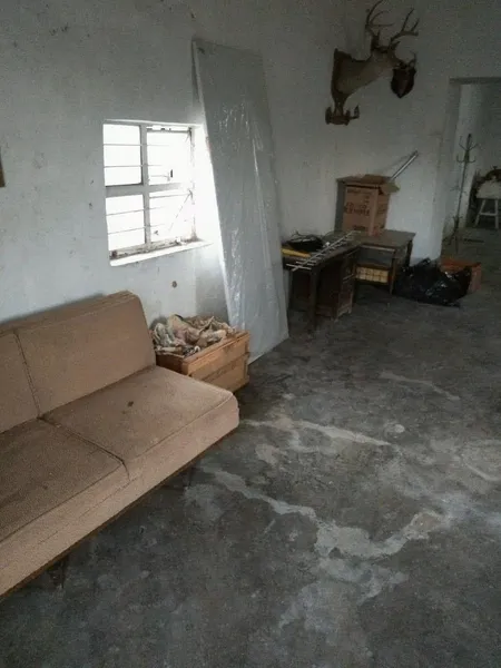 Foto 19