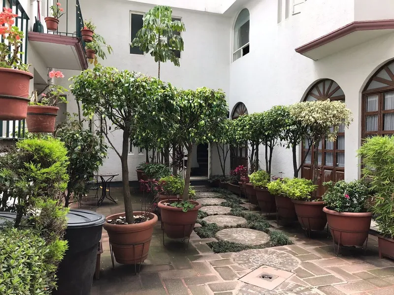 Foto 5
