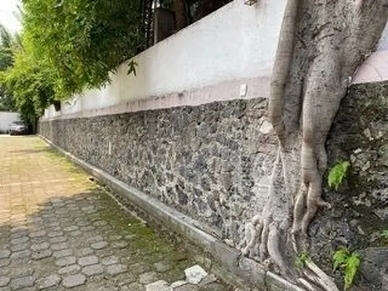 Foto 9