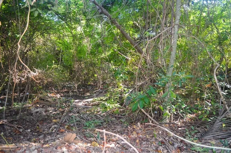 Lote en venta · La Veleta, Tulum, Quintana Roo Lote en venta · La Veleta, Tulum, Quintana Roo