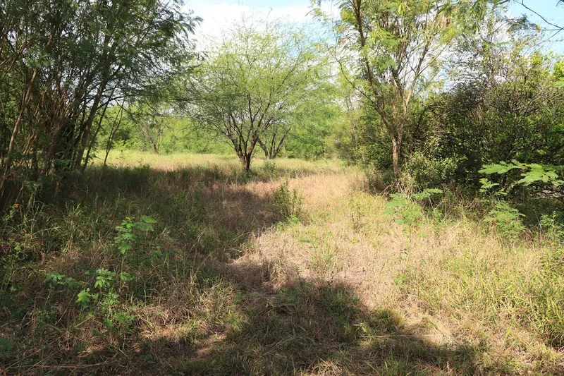 Casa en venta · Los Arroyos (Sección Juárez), Montemorelos, Nuevo León