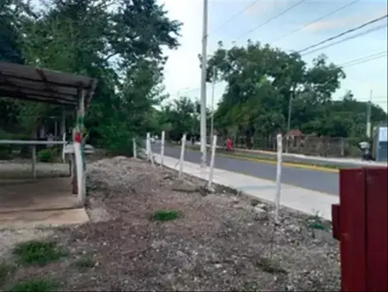 Foto 10
