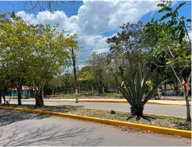 Foto 6