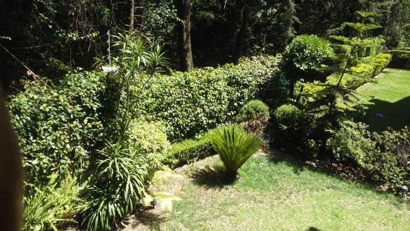 Foto 13