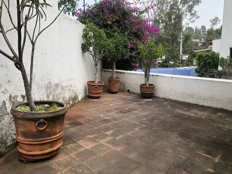 Foto 8