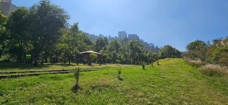 Foto 43