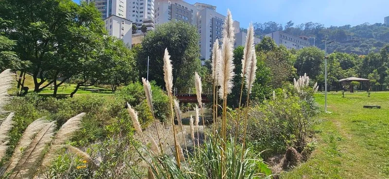 Foto 38