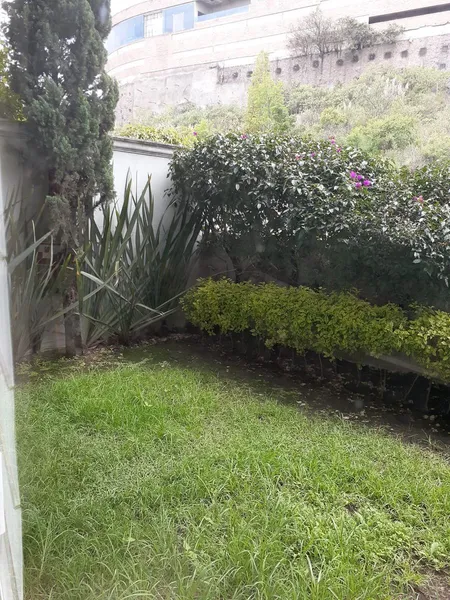 Foto 17