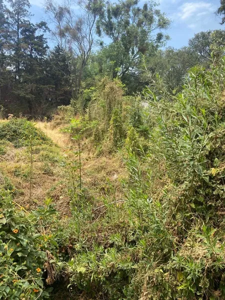 Lote en venta · San Jerónimo Lídice, La Magdalena Contreras, Ciudad de México Lote en venta · San Jerónimo Lídice, La Magdalena Contreras, Ciudad de México