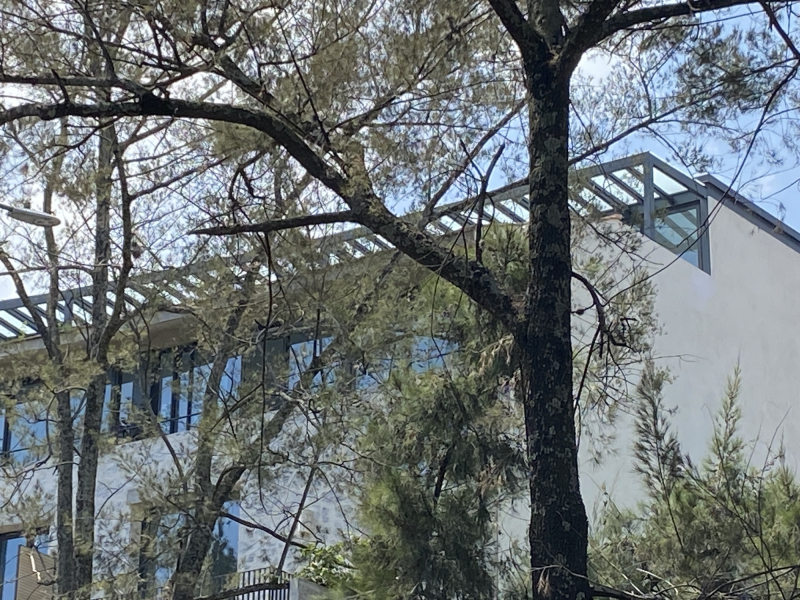 Departamento en venta · Bosques de las Lomas, Cuajimalpa de Morelos, Ciudad de México