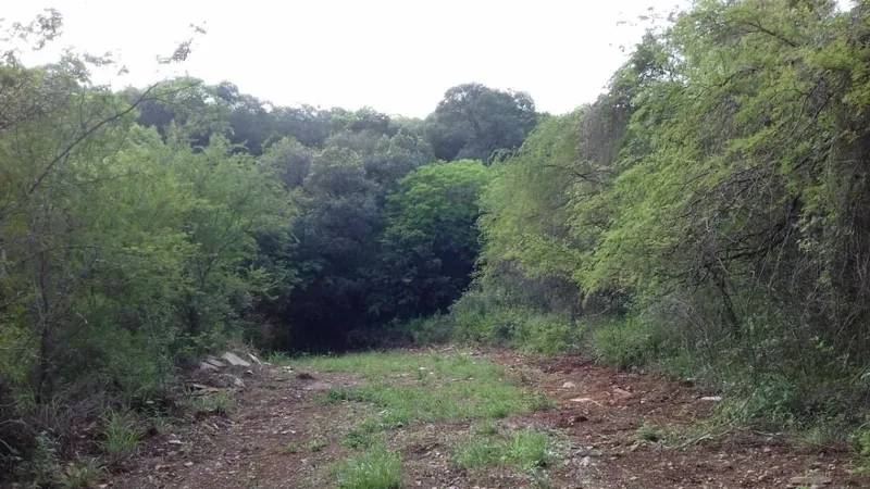 Foto 10