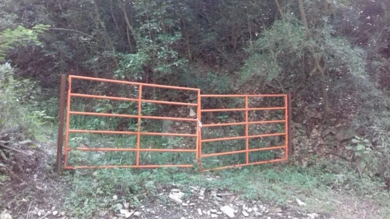 Foto 4