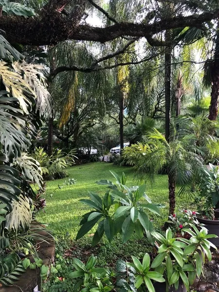 Foto 11