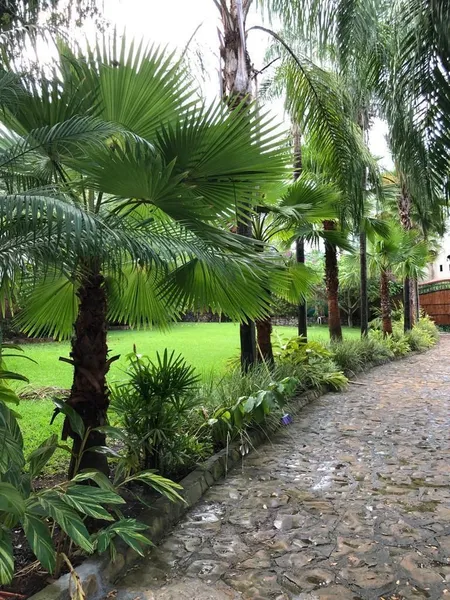 Casa en venta · Cieneguilla, Santiago, Nuevo León