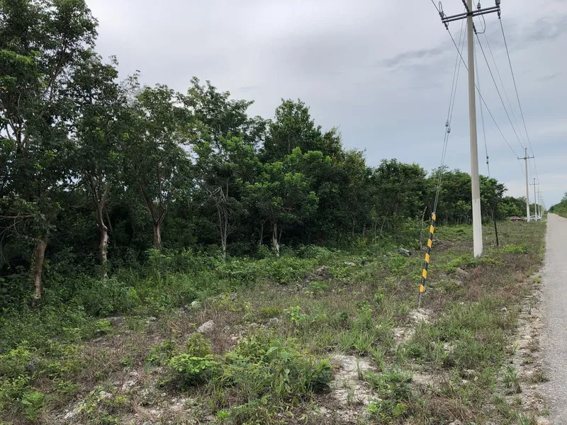 Lote en venta · Cancún, Benito Juárez, Quintana Roo