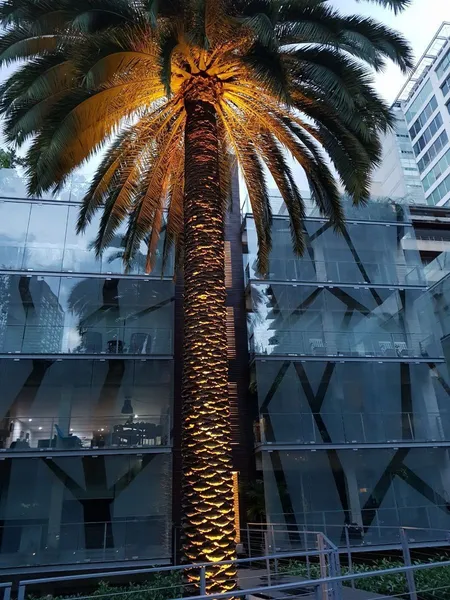 Foto 16