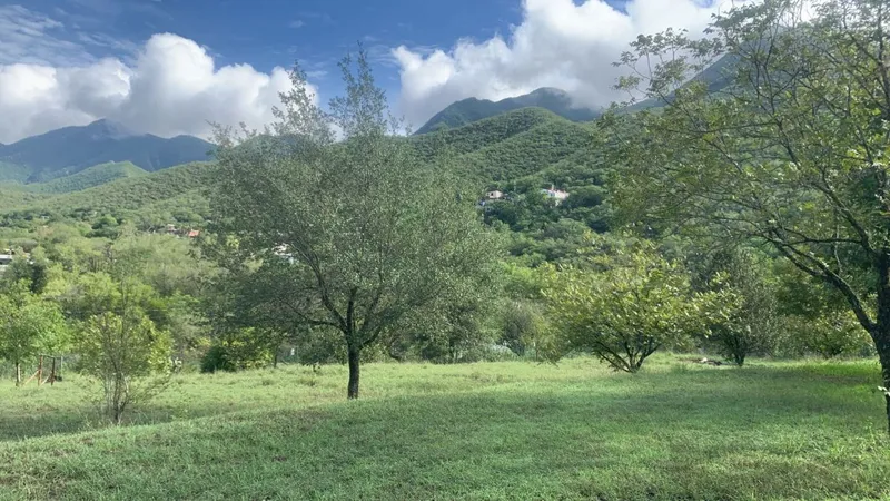 Foto 10