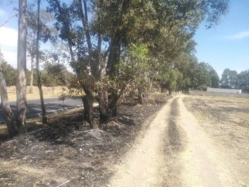 Lote en venta · Santa Rita Tlahuapan, Tlahuapan, Puebla