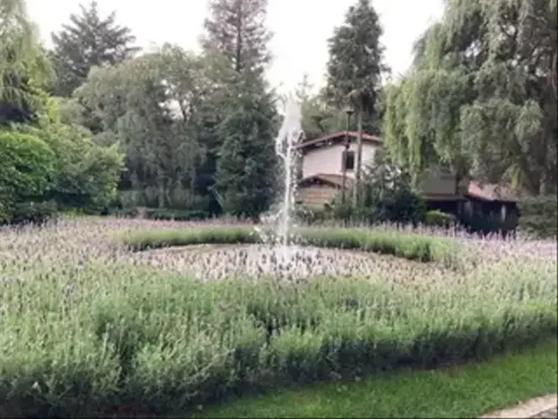 Lote en venta · Rancho San Francisco Pueblo San Bartolo Ameyalco, Álvaro Obregón, Ciudad de México
