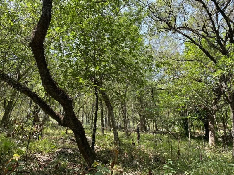 Lote en venta · Cieneguilla, Santiago, Nuevo León