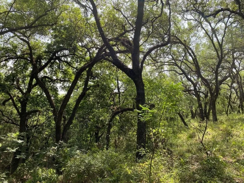 Lote en venta · Cieneguilla, Santiago, Nuevo León