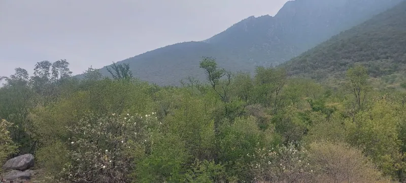 Lote en venta · Cortijo del Río, Monterrey, Nuevo León