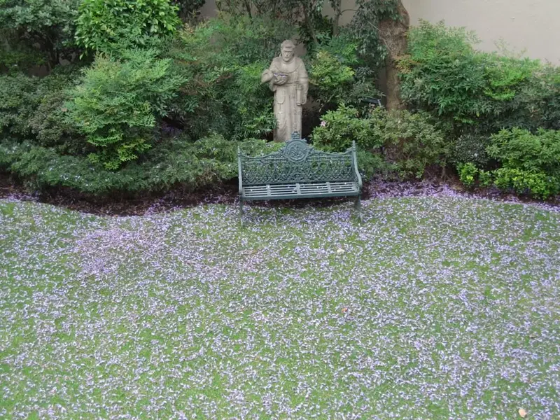 Foto 11