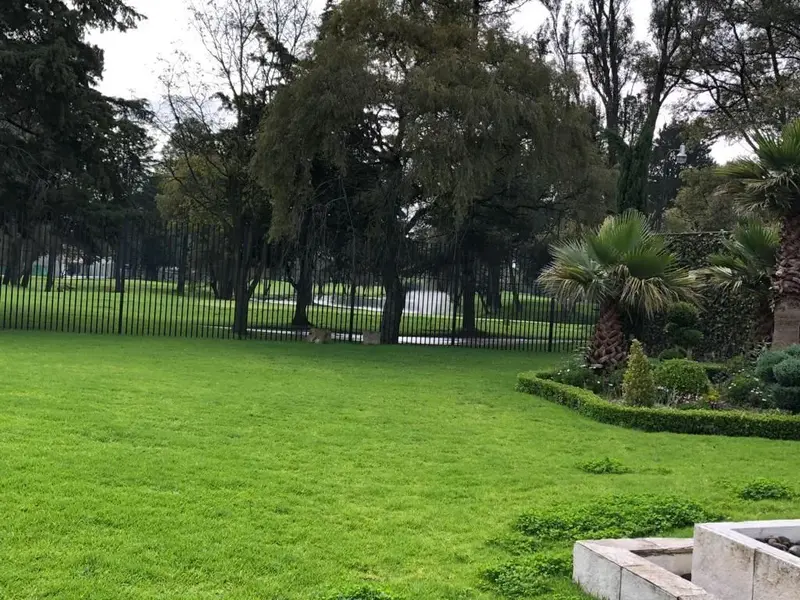 Foto 6