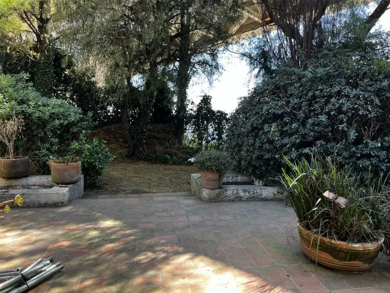 Foto 8