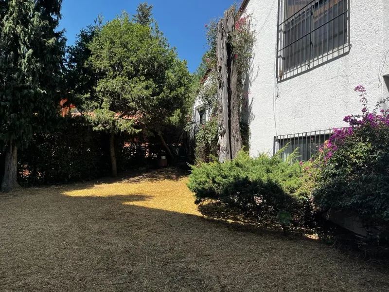 Foto 7