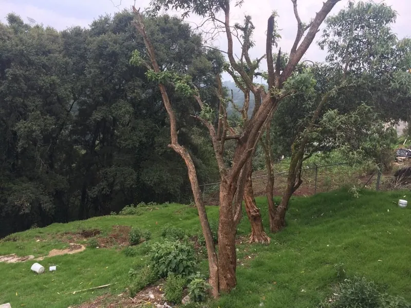 Lote en venta · Ampliación El Yaqui, El Yaqui, Cuajimalpa de Morelos, Ciudad de México