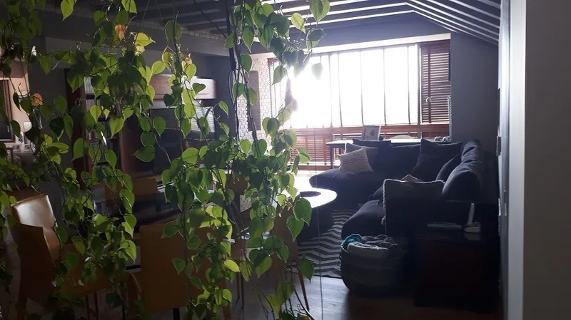 Departamento en venta · Bosques de las Lomas, Cuajimalpa de Morelos, Ciudad de México
