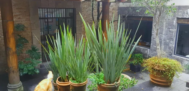 Casa en venta · Lomas Altas, Miguel Hidalgo, Ciudad de México Casa en venta · Lomas Altas, Miguel Hidalgo, Ciudad de México