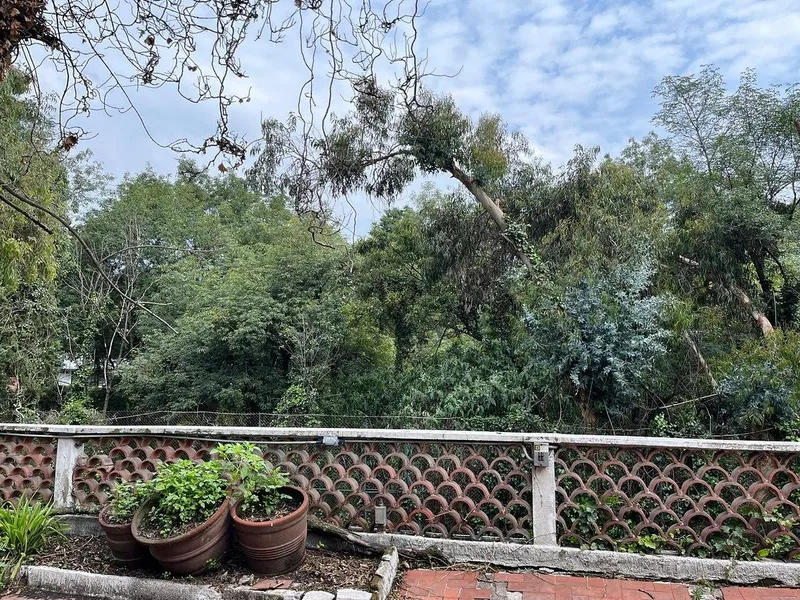 Foto 5