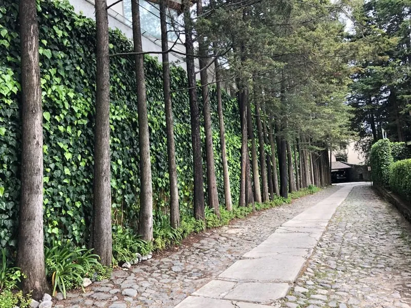 Condominio en venta · Contadero, Cuajimalpa de Morelos, Ciudad de México