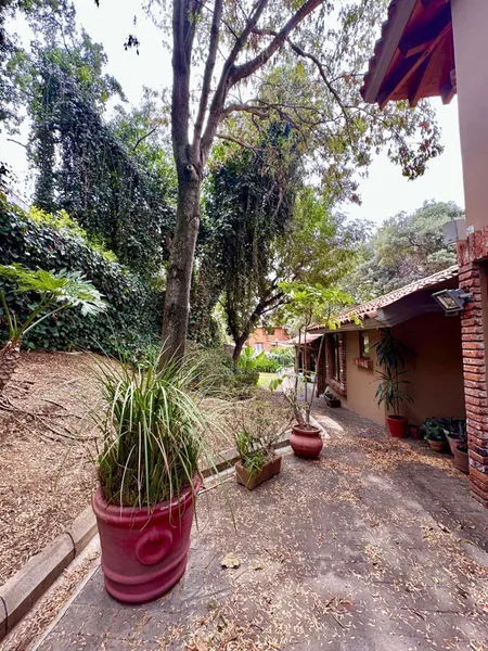 Foto 48