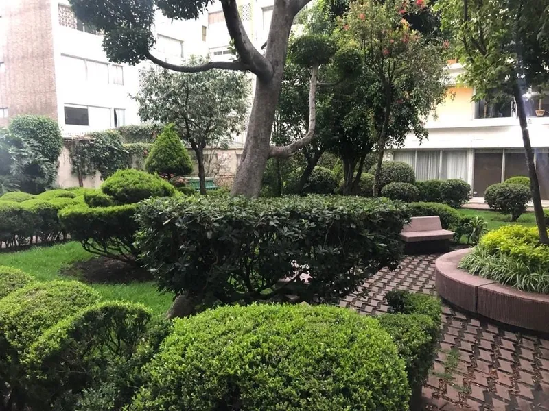 Foto 15